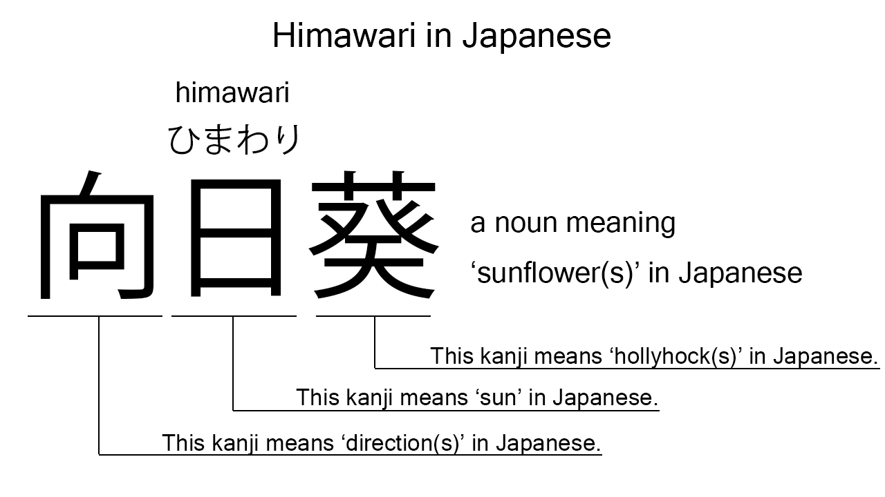 himawari in japanese