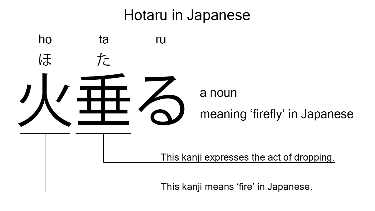hotaru in japanese