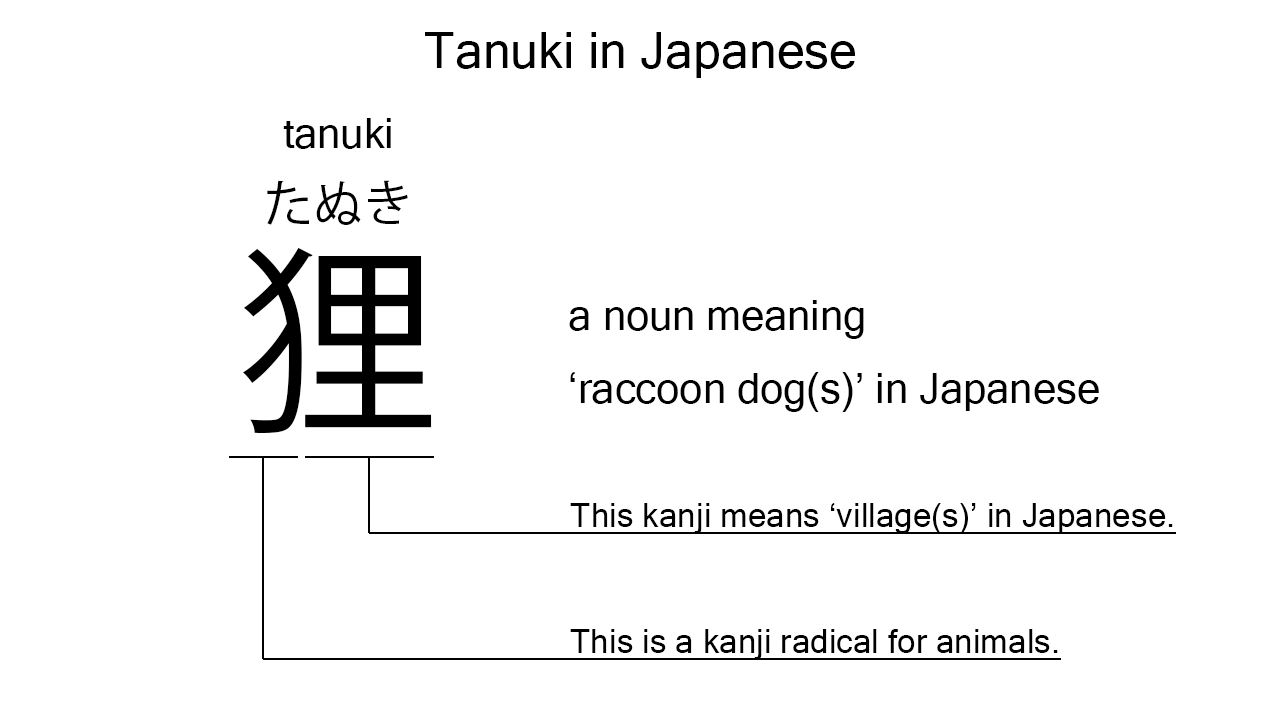 tanuki in japanese