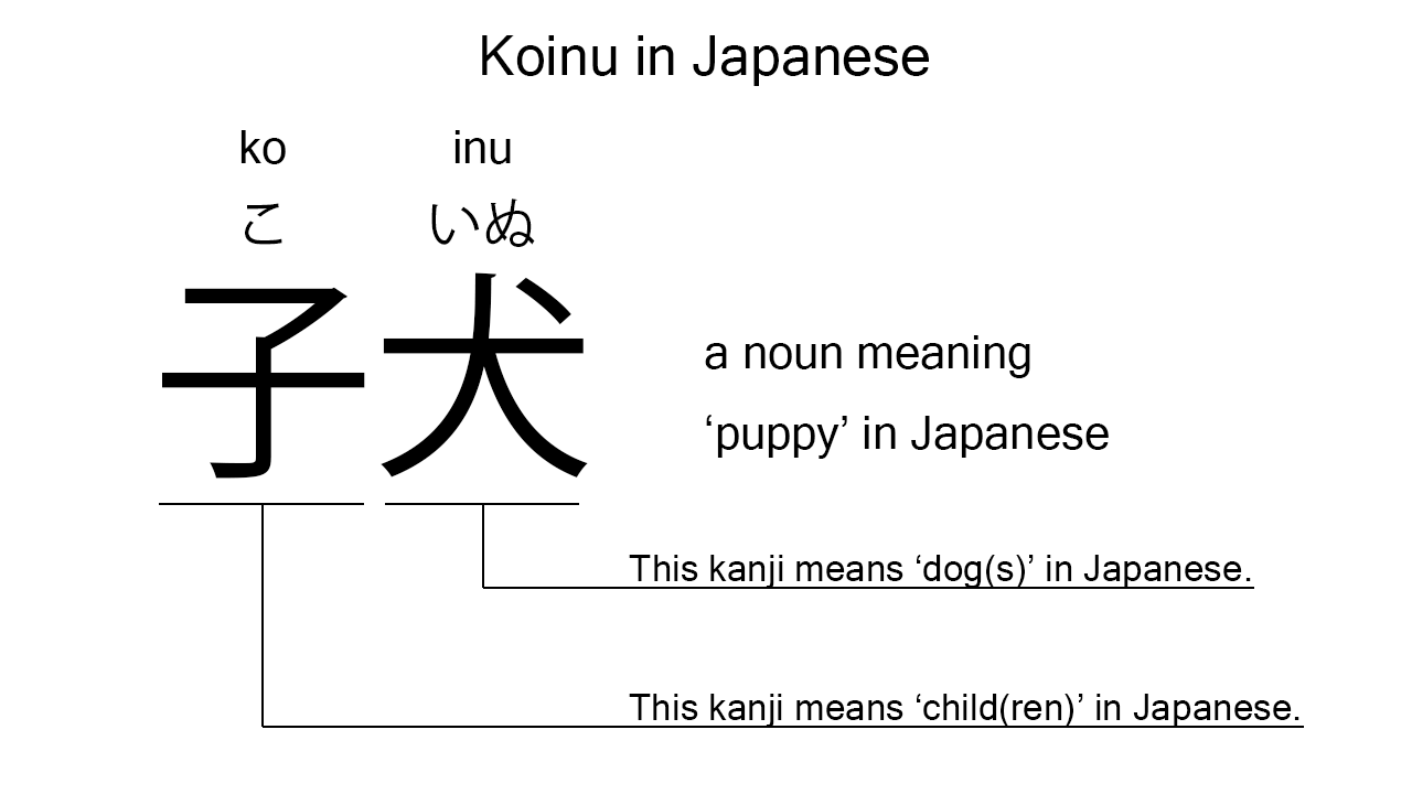 koinu in japanese