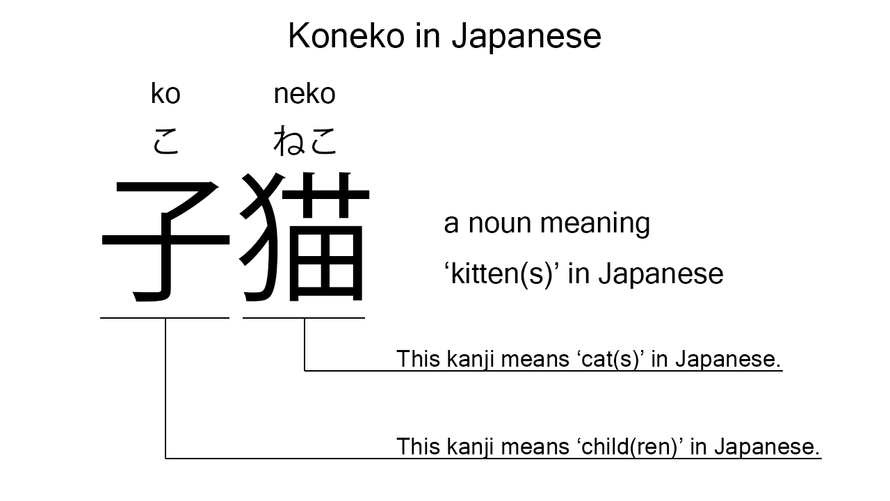 koneko in japanese