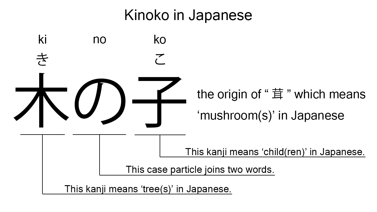 kinoko in japanese