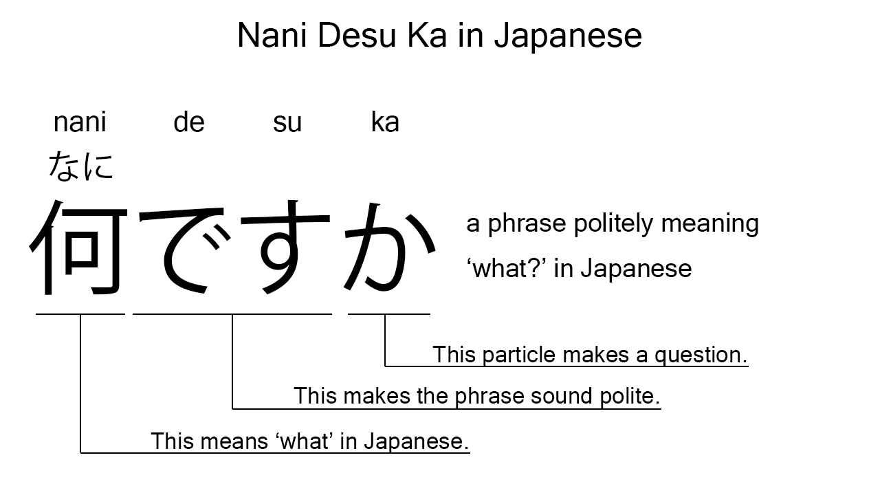 nani desu ka in Japanese