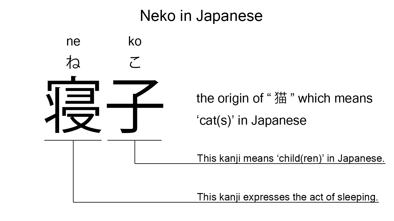neko in japanese