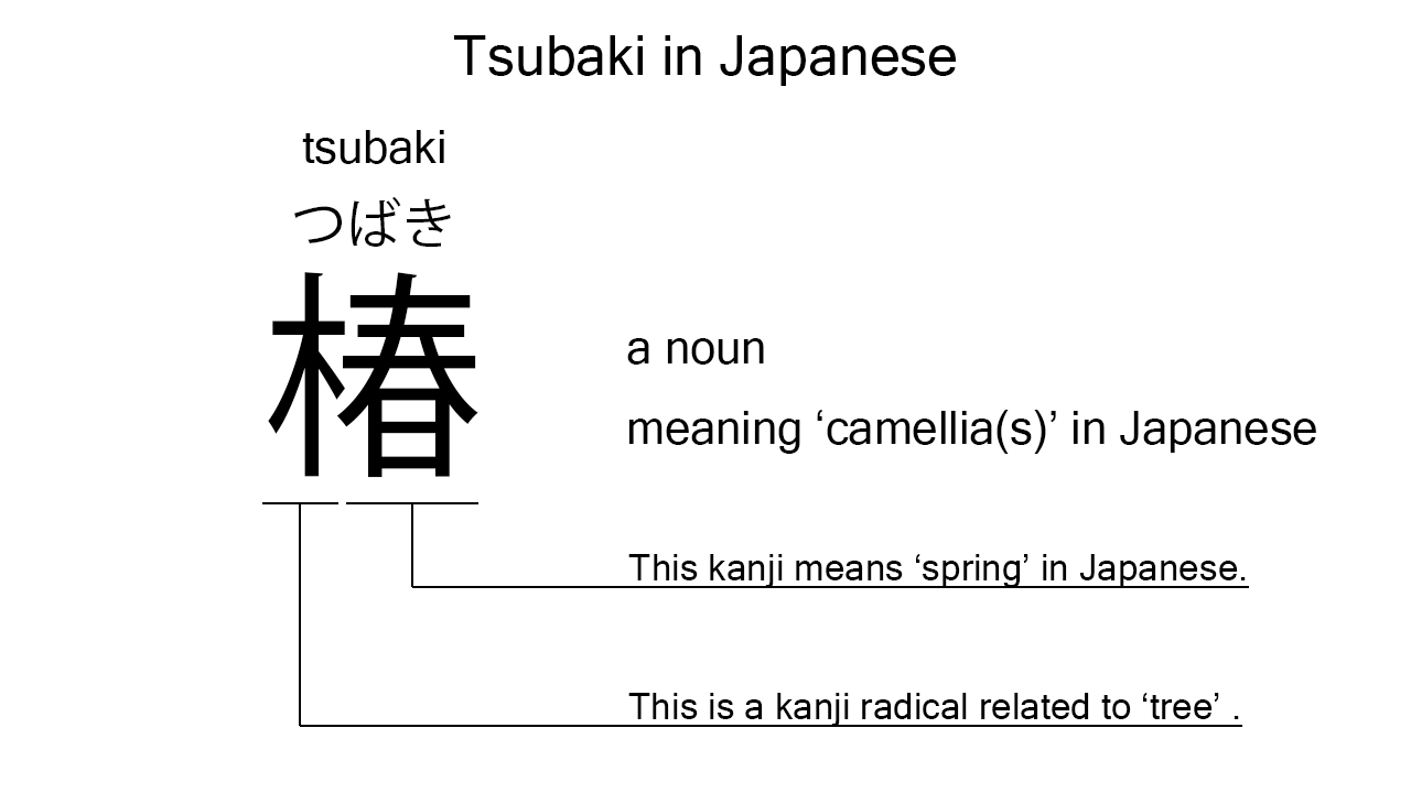 tsubaki in japanese