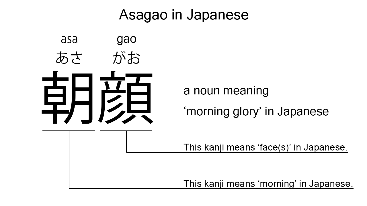 asagao in japanese