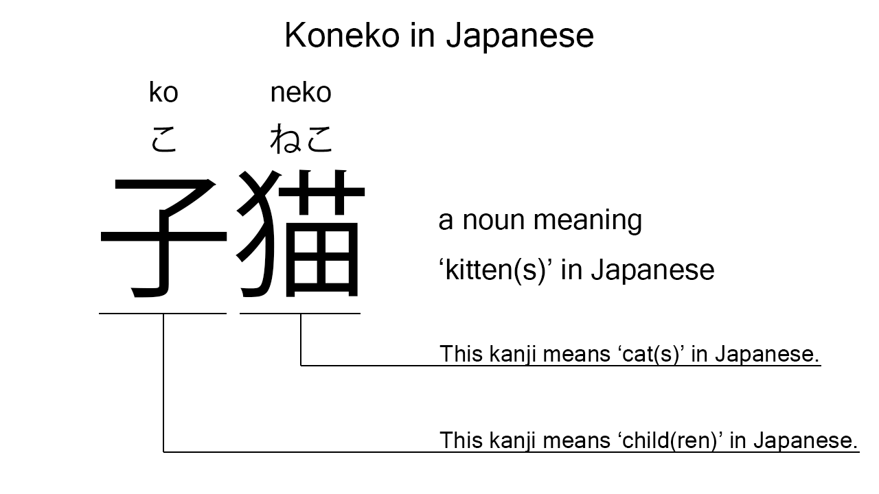 koneko in japanese