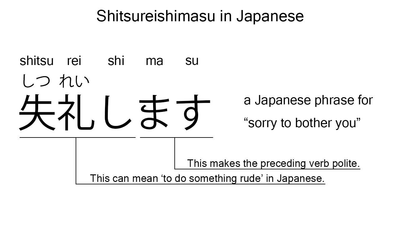 shitsureishimasu in japanese