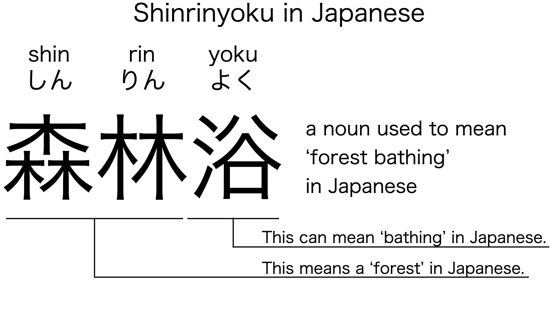 Shinrinyoku is the Japanese word for 'forest bathing', explained